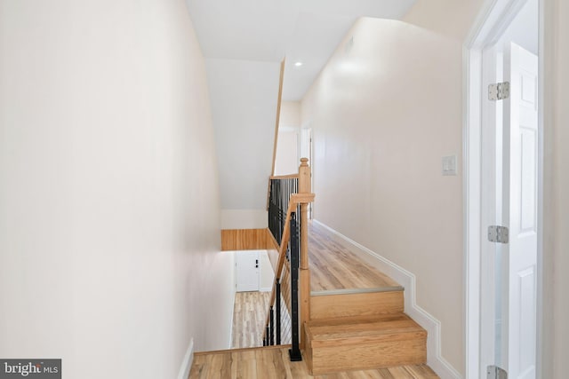 stairway with hardwood / wood-style flooring