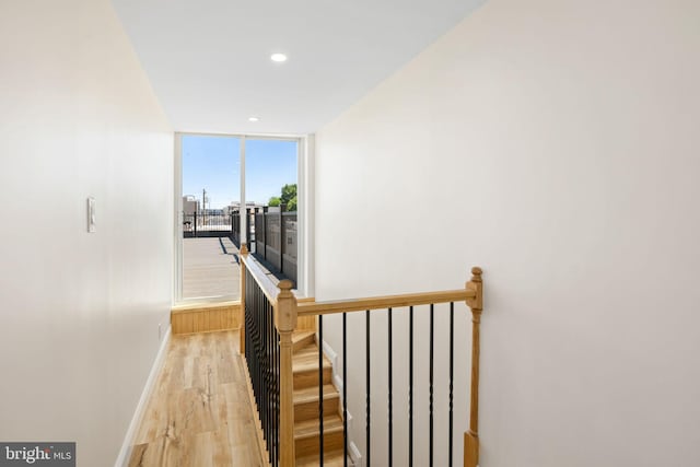 corridor with light hardwood / wood-style flooring and expansive windows