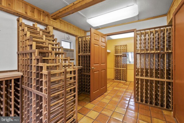 12330 Potomac View Rd, Newburg, MD 20664 - wine cellar with tile patterned floors