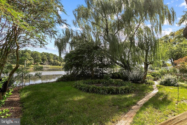 view of yard with a water view