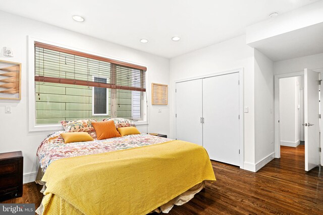 bedroom with a closet and dark wood-type flooring