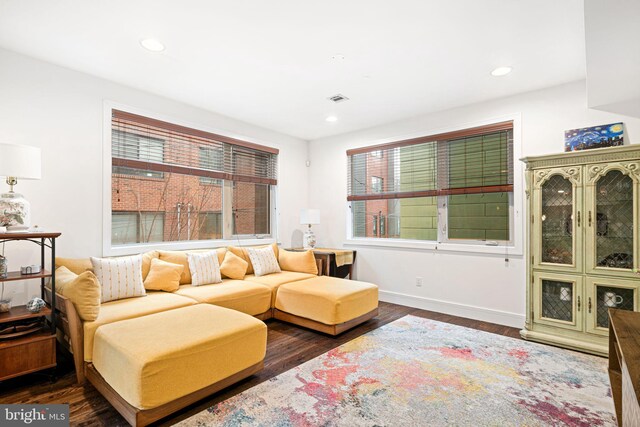 living room featuring dark hardwood / wood-style flooring