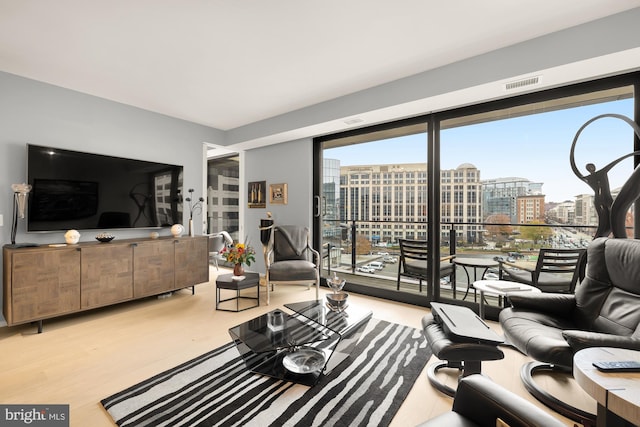 living room featuring light hardwood / wood-style flooring