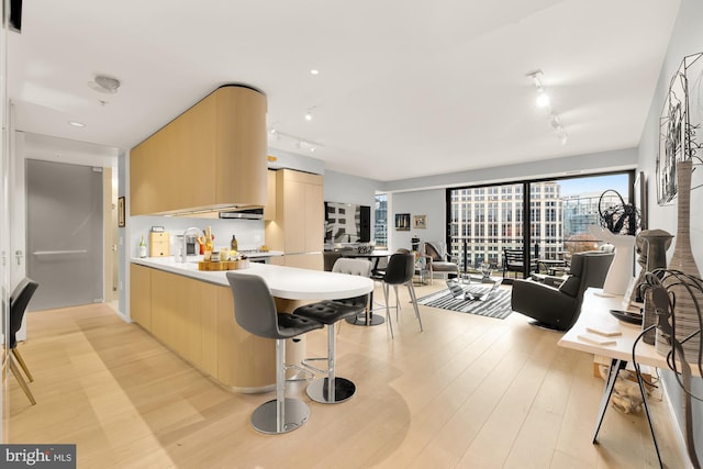 kitchen featuring light hardwood / wood-style flooring, track lighting, and light brown cabinets