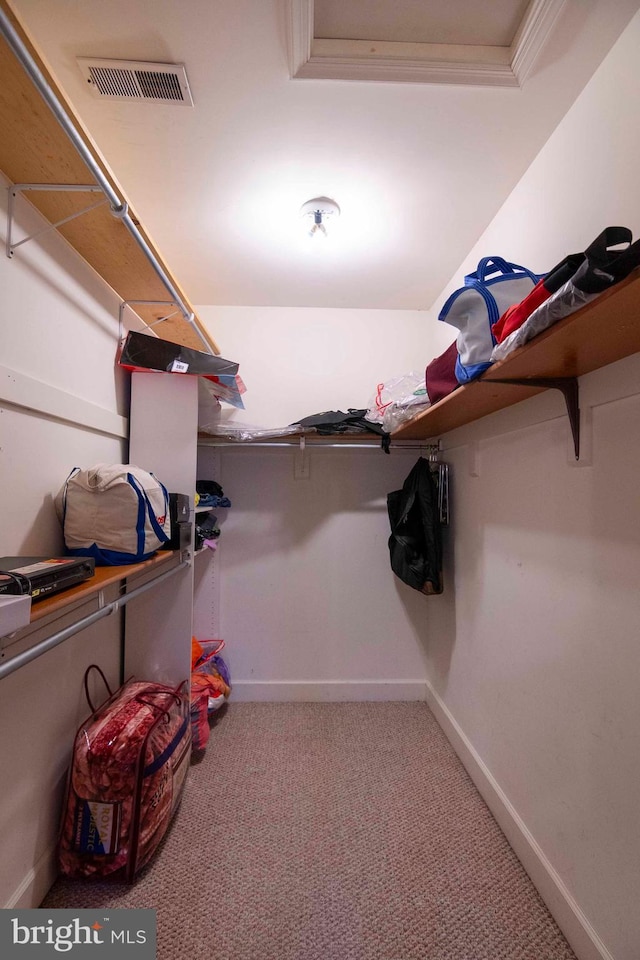 walk in closet with light carpet