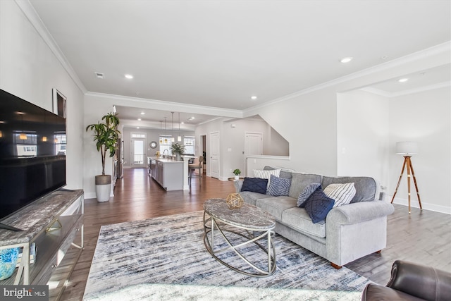 living room with crown molding and dark wood-type flooring