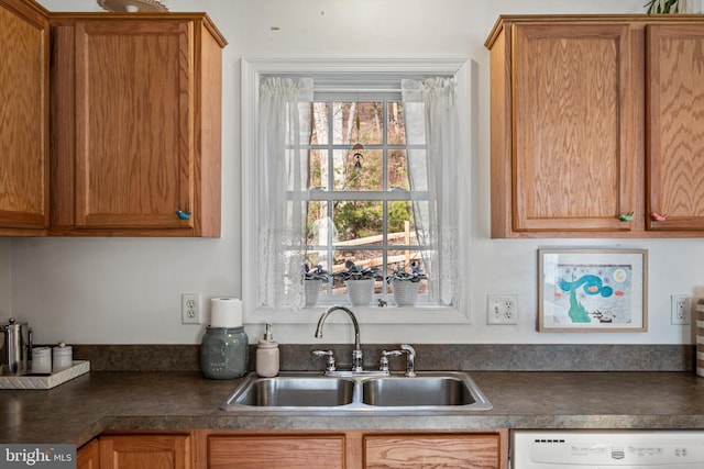 kitchen featuring dishwasher and sink