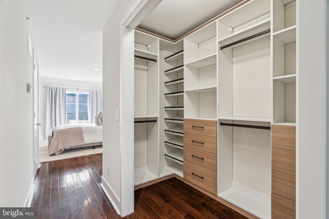 walk in closet with dark wood-type flooring