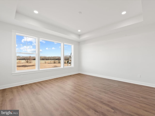 empty room with a raised ceiling, wood-type flooring, and a wealth of natural light