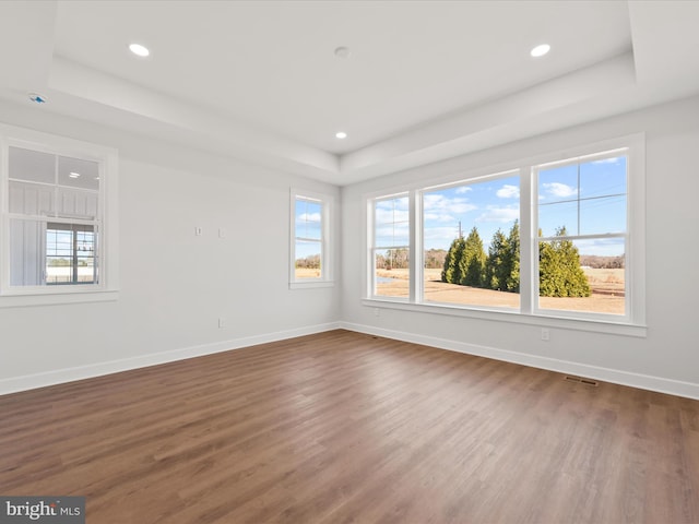 unfurnished room featuring a raised ceiling and wood-type flooring