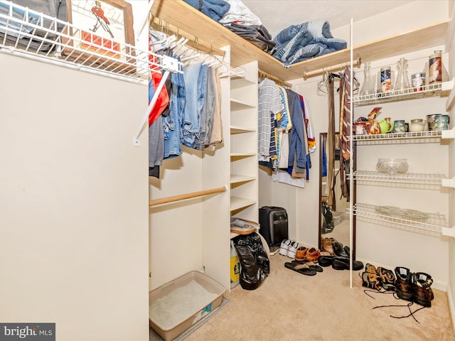 spacious closet with carpet floors