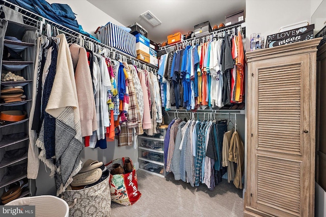 walk in closet featuring carpet floors