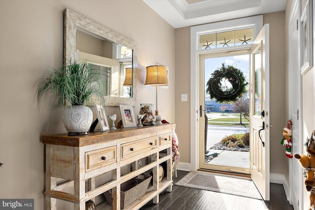 entrance foyer with ornamental molding, dark hardwood / wood-style flooring, a tray ceiling, and a healthy amount of sunlight