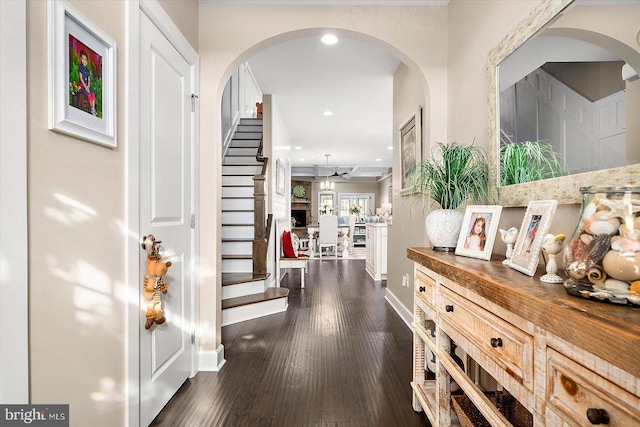 foyer entrance featuring ceiling fan and dark hardwood / wood-style flooring