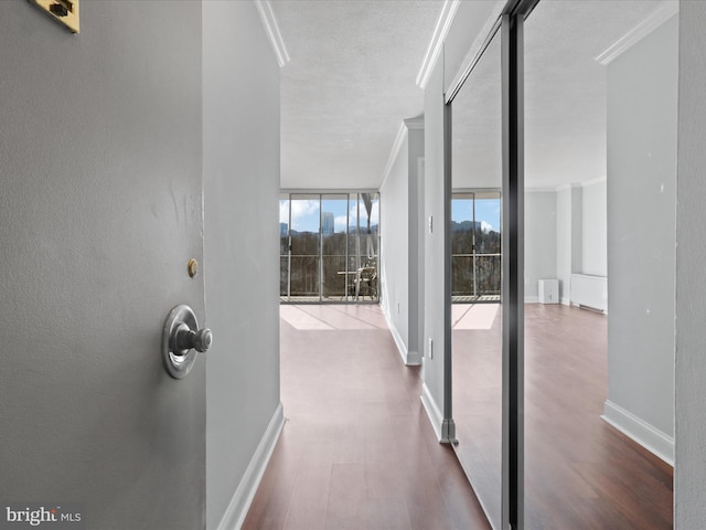 hall featuring floor to ceiling windows, crown molding, and wood-type flooring