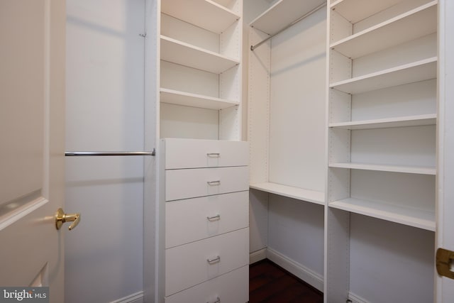 spacious closet featuring dark wood-type flooring