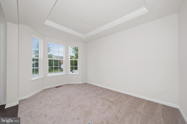 635 Corbit Dr, Middletown, DE 19709 - unfurnished room with a tray ceiling, carpet floors, baseboards, and crown molding