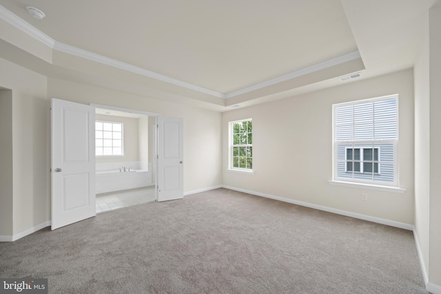 635 Corbit Dr, Middletown, DE 19709 - spare room with crown molding, carpet floors, a raised ceiling, and plenty of natural light
