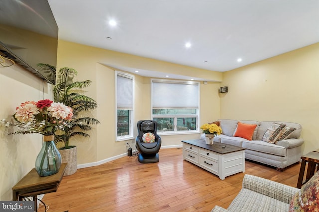 living room with light hardwood / wood-style flooring