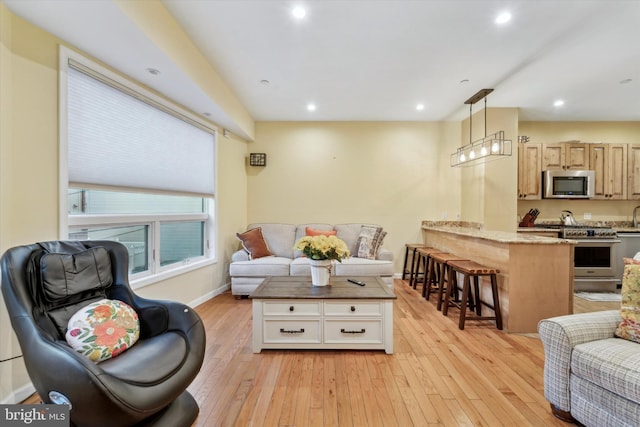 living room featuring light hardwood / wood-style floors