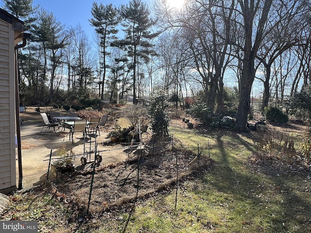 view of yard featuring a patio