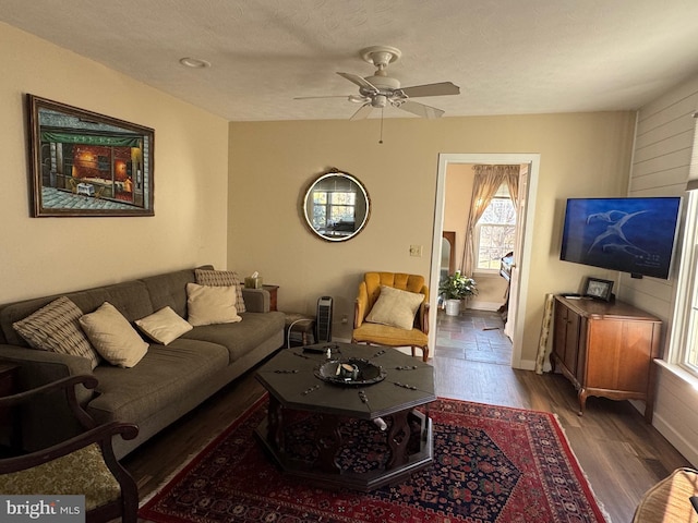 living room featuring a textured ceiling, dark hardwood / wood-style flooring, and ceiling fan