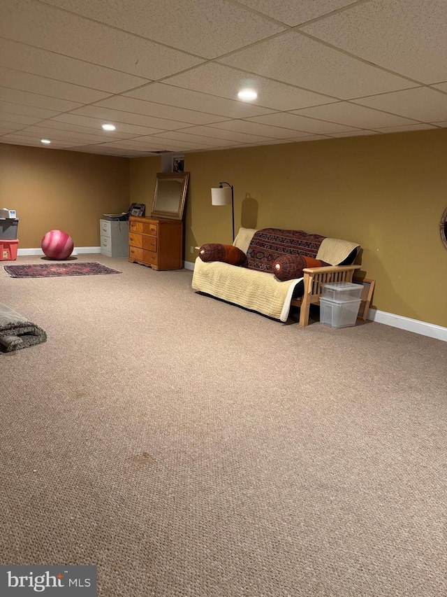 interior space featuring carpet flooring and a drop ceiling