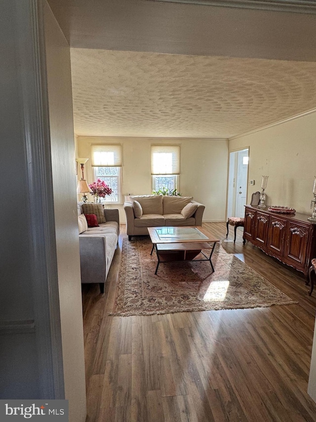 living room featuring dark wood-type flooring