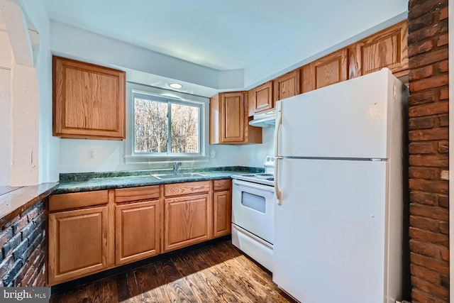 kitchen featuring dark hardwood / wood-style flooring, sink, and white appliances