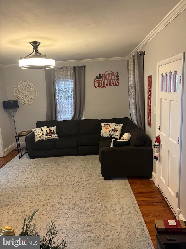 living room with crown molding and dark wood-type flooring