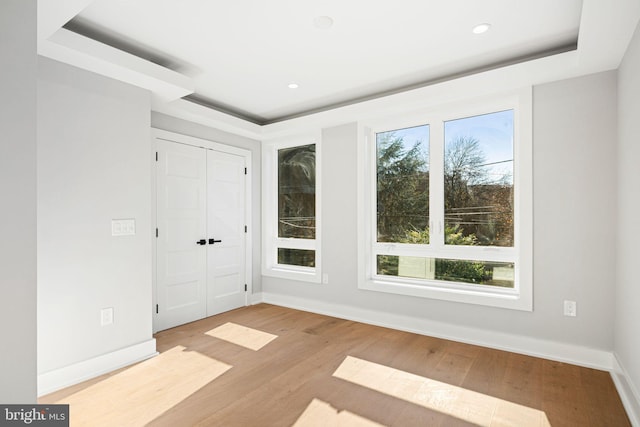 spare room with a raised ceiling, light hardwood / wood-style flooring, and a healthy amount of sunlight