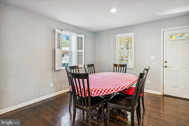 dining room featuring a wealth of natural light and dark wood-type flooring