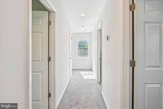 corridor with light colored carpet