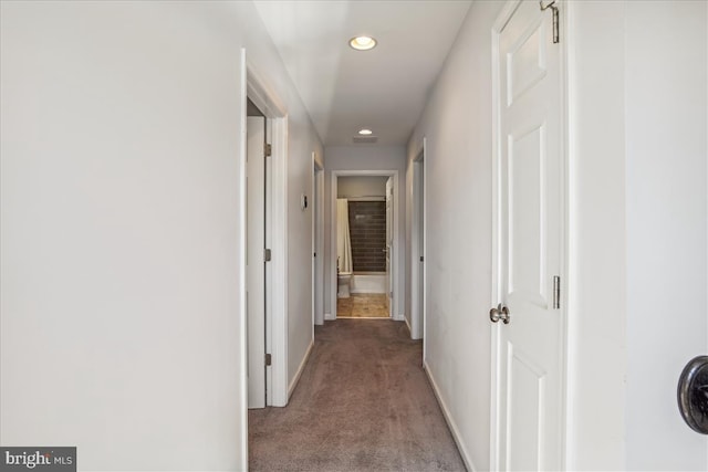 hallway featuring carpet flooring