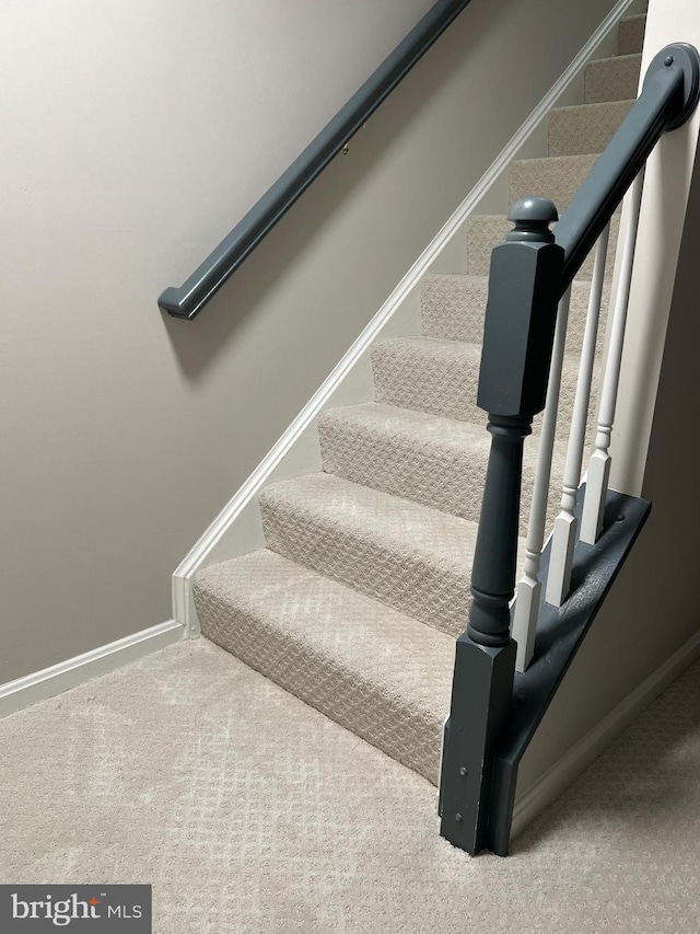 stairs with carpet flooring