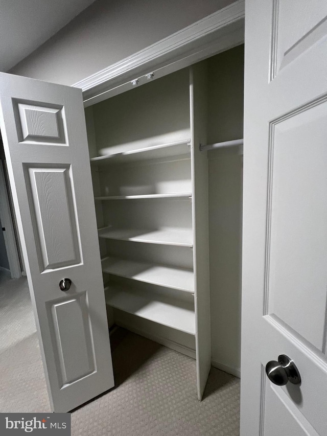 view of closet