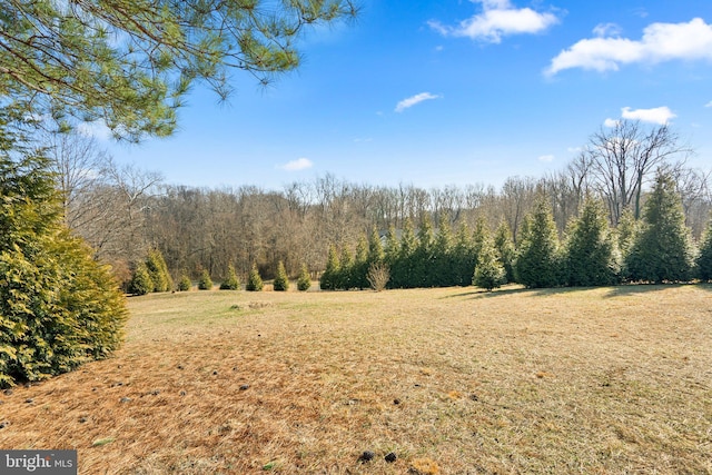 6616 Osborne Hill Dr, Upper Marlboro, MD 20772 - view of woods
