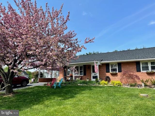 view of front facade with a front yard