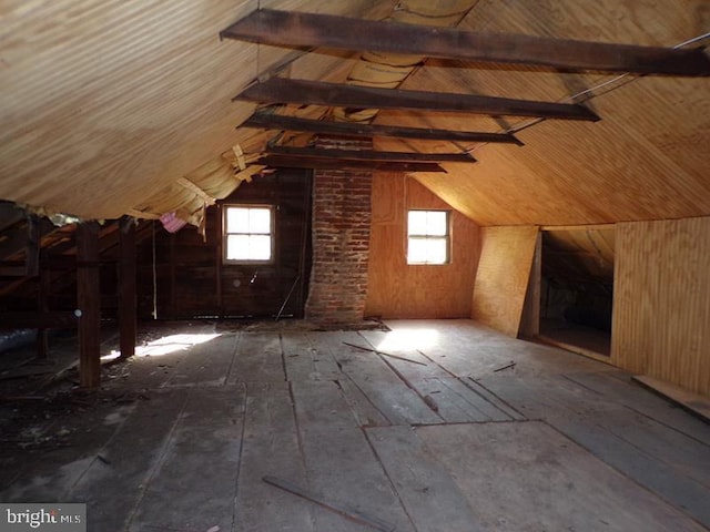 unfinished attic featuring a wealth of natural light