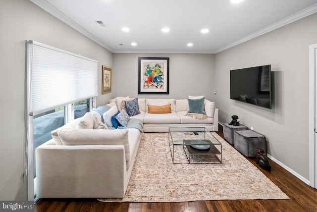 living room featuring crown molding and dark wood-type flooring