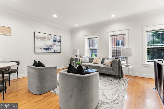 living room with wood-type flooring and crown molding