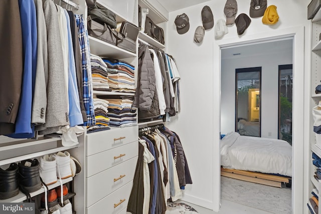 view of spacious closet