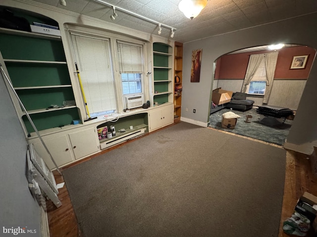 carpeted office featuring a healthy amount of sunlight and track lighting