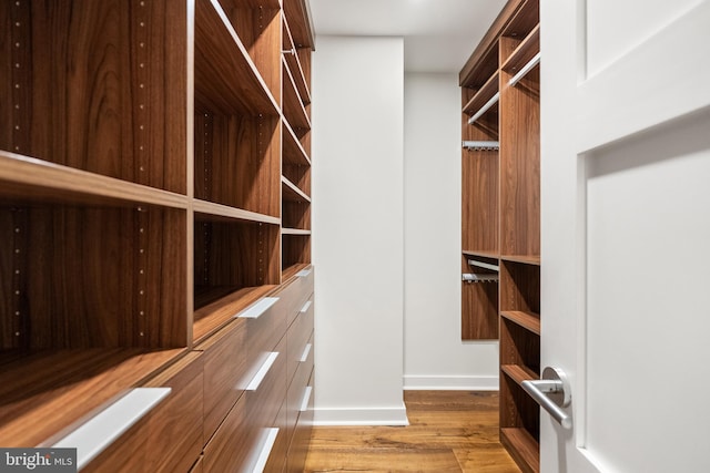 spacious closet featuring hardwood / wood-style flooring