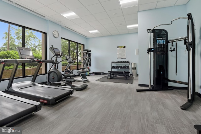 workout area with light carpet and a paneled ceiling