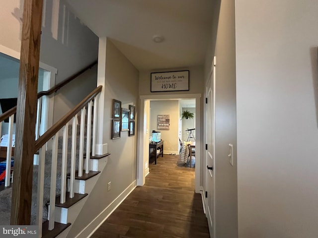 hall featuring dark hardwood / wood-style floors