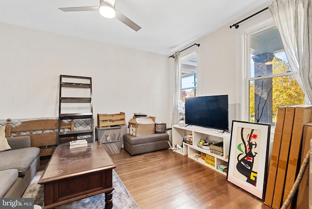 living room with hardwood / wood-style floors and ceiling fan