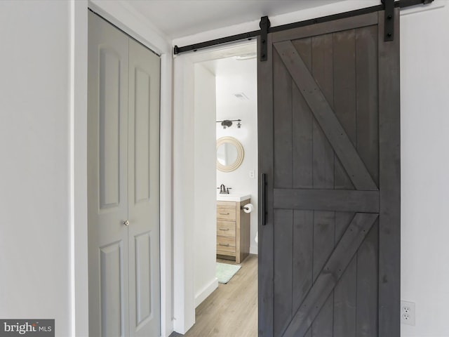 bathroom featuring hardwood / wood-style floors and vanity