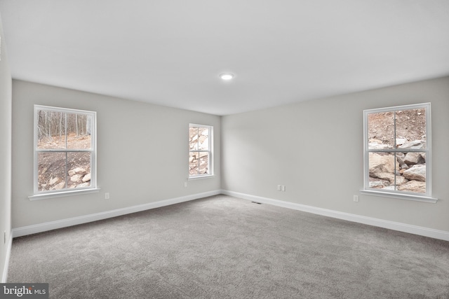 carpeted empty room with a wealth of natural light