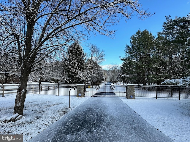 view of yard covered in snow